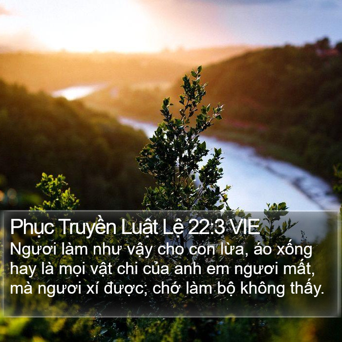 Phục Truyền Luật Lệ 22:3 VIE Bible Study
