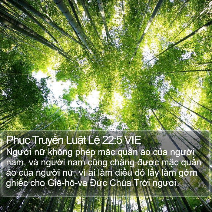 Phục Truyền Luật Lệ 22:5 VIE Bible Study