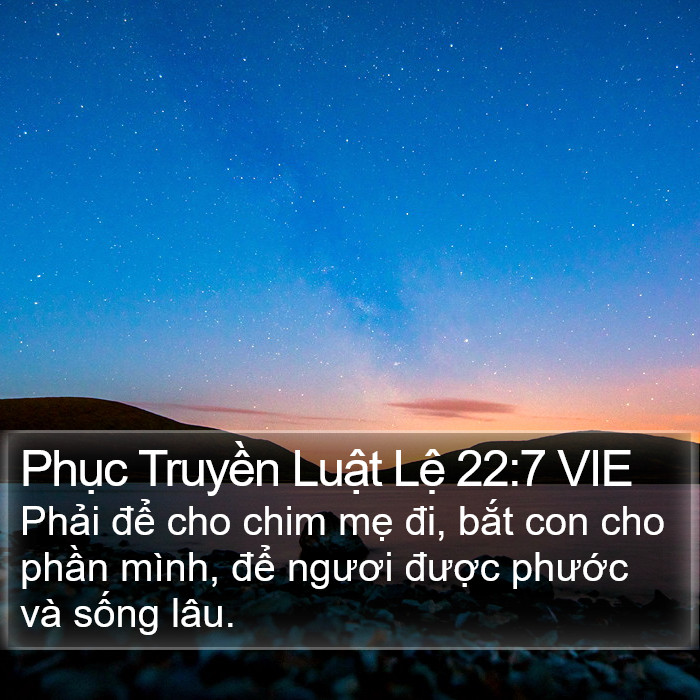 Phục Truyền Luật Lệ 22:7 VIE Bible Study