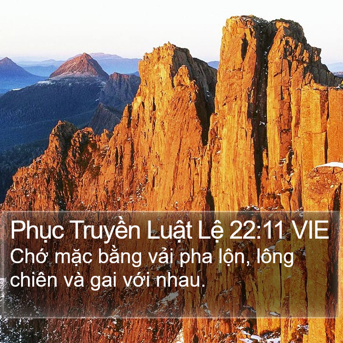 Phục Truyền Luật Lệ 22:11 VIE Bible Study