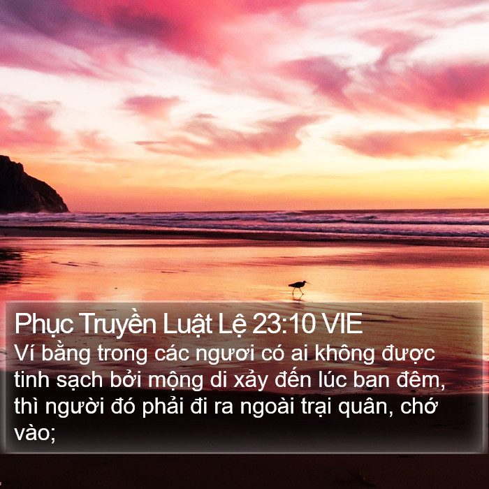 Phục Truyền Luật Lệ 23:10 VIE Bible Study