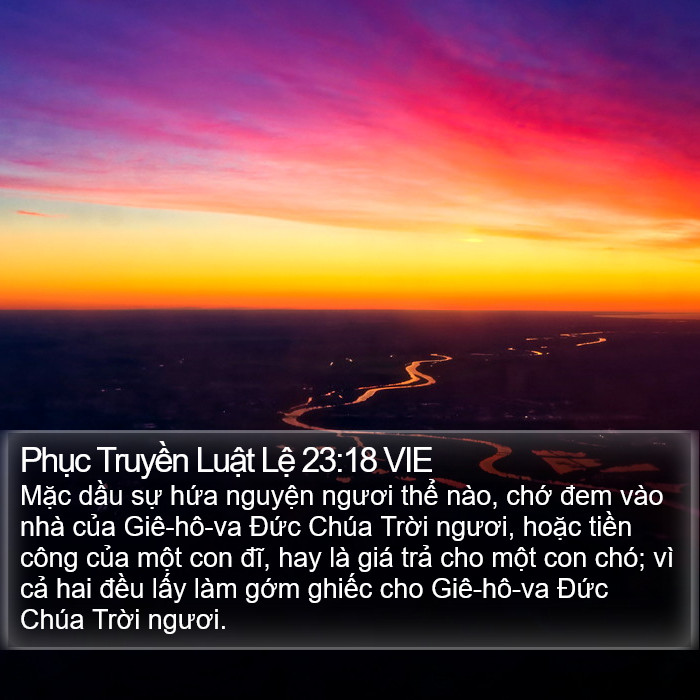 Phục Truyền Luật Lệ 23:18 VIE Bible Study