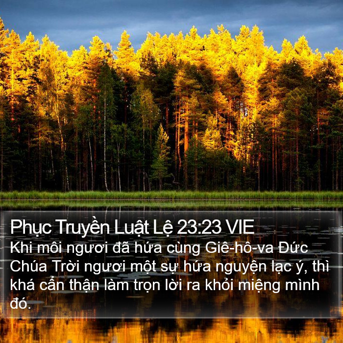 Phục Truyền Luật Lệ 23:23 VIE Bible Study