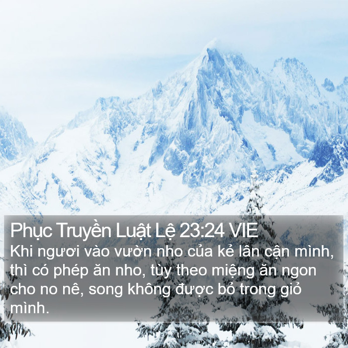 Phục Truyền Luật Lệ 23:24 VIE Bible Study