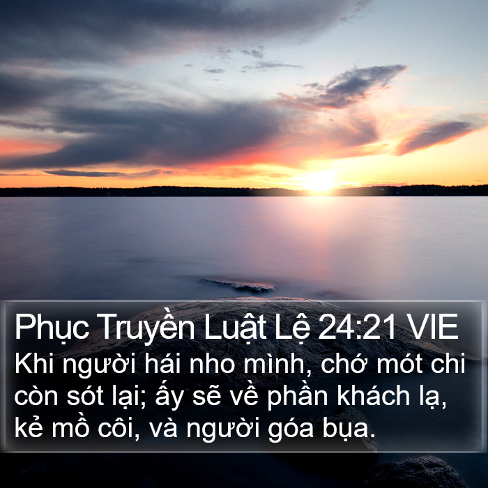Phục Truyền Luật Lệ 24:21 VIE Bible Study