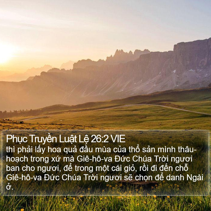 Phục Truyền Luật Lệ 26:2 VIE Bible Study