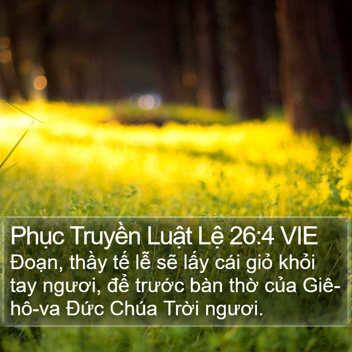 Phục Truyền Luật Lệ 26:4 VIE Bible Study