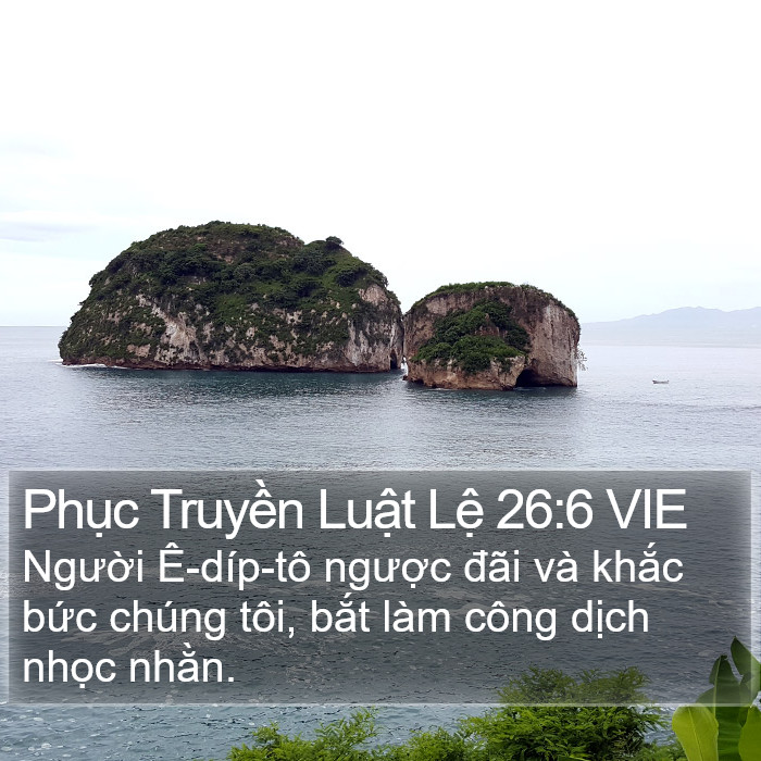 Phục Truyền Luật Lệ 26:6 VIE Bible Study