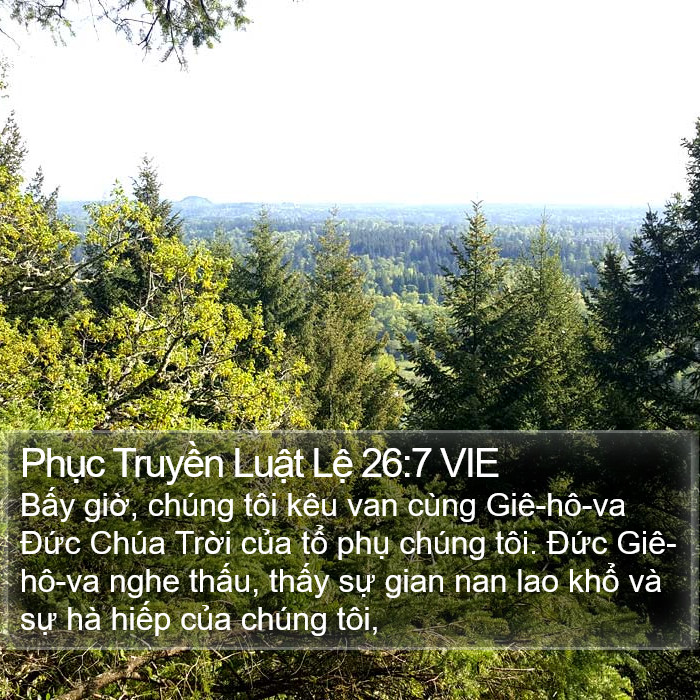 Phục Truyền Luật Lệ 26:7 VIE Bible Study