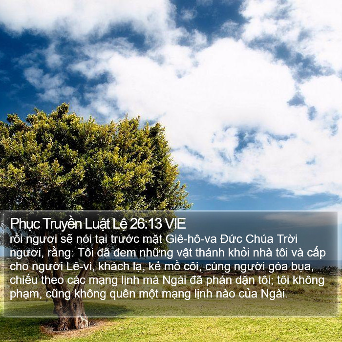 Phục Truyền Luật Lệ 26:13 VIE Bible Study