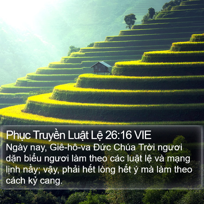 Phục Truyền Luật Lệ 26:16 VIE Bible Study