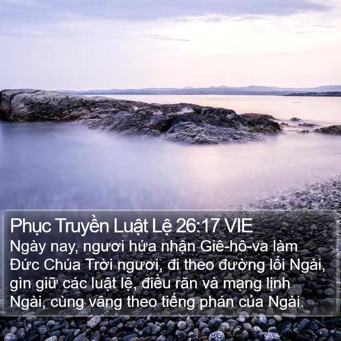 Phục Truyền Luật Lệ 26:17 VIE Bible Study