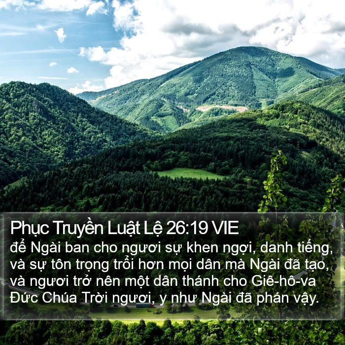 Phục Truyền Luật Lệ 26:19 VIE Bible Study