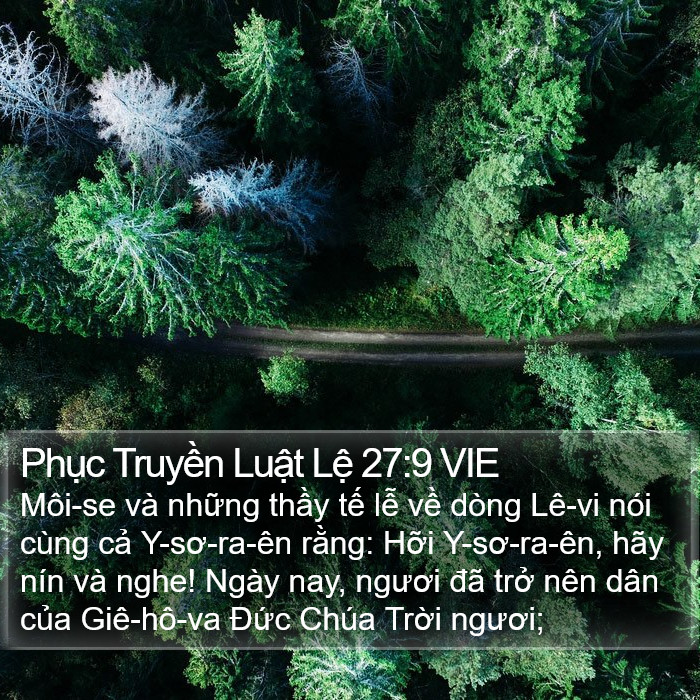 Phục Truyền Luật Lệ 27:9 VIE Bible Study