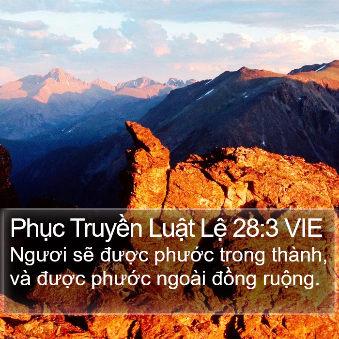 Phục Truyền Luật Lệ 28:3 VIE Bible Study