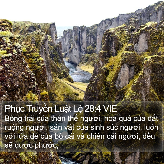 Phục Truyền Luật Lệ 28:4 VIE Bible Study