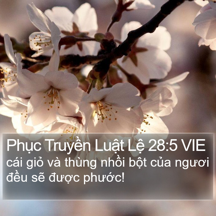 Phục Truyền Luật Lệ 28:5 VIE Bible Study