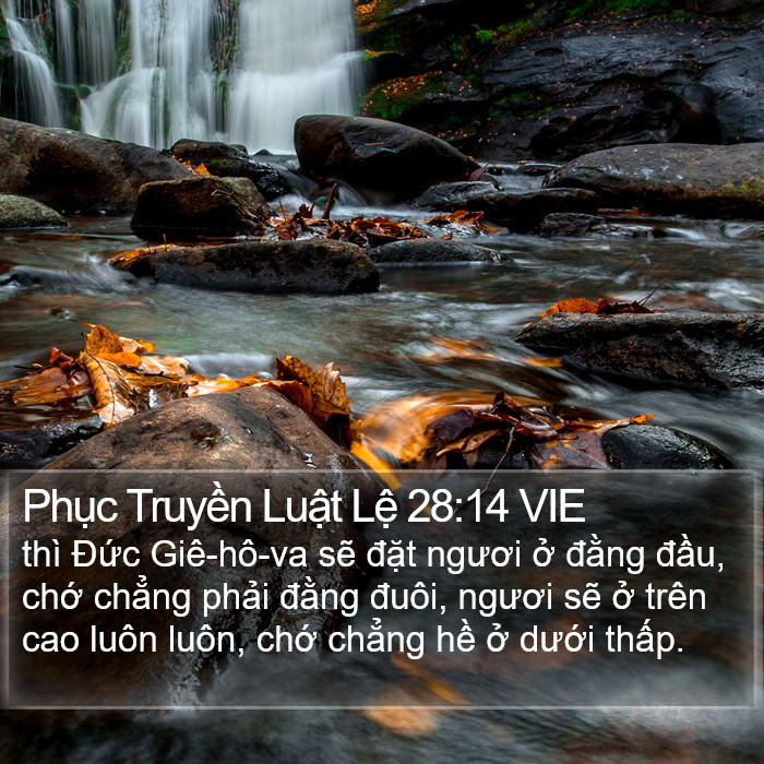 Phục Truyền Luật Lệ 28:14 VIE Bible Study