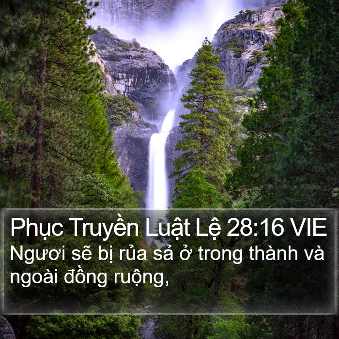 Phục Truyền Luật Lệ 28:16 VIE Bible Study