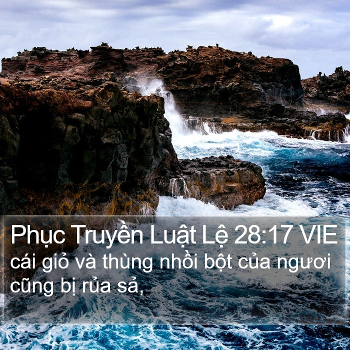 Phục Truyền Luật Lệ 28:17 VIE Bible Study