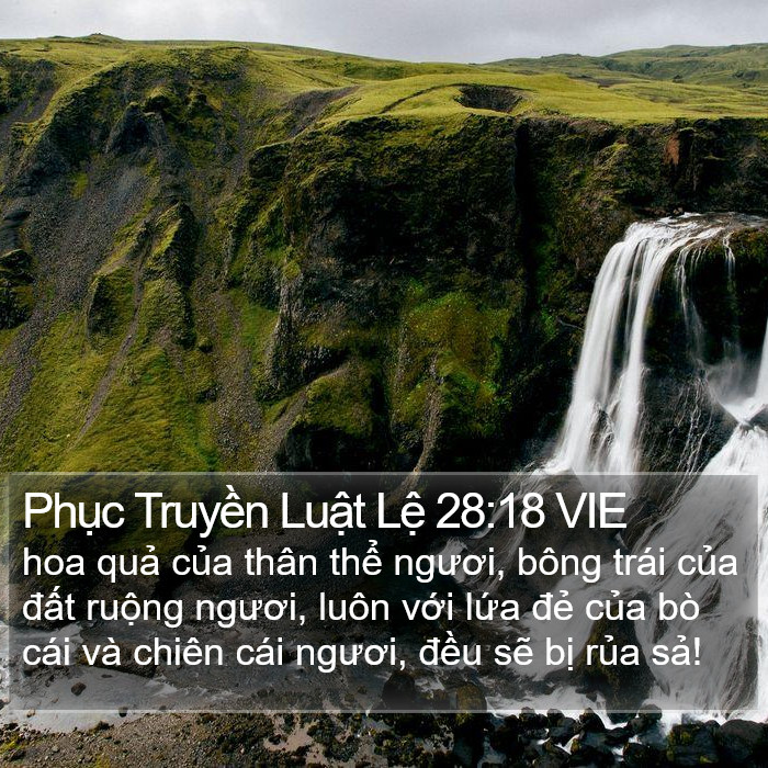 Phục Truyền Luật Lệ 28:18 VIE Bible Study