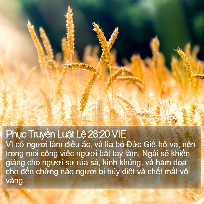 Phục Truyền Luật Lệ 28:20 VIE Bible Study