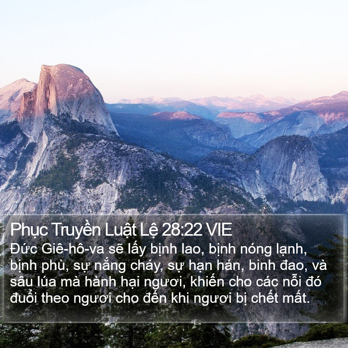 Phục Truyền Luật Lệ 28:22 VIE Bible Study