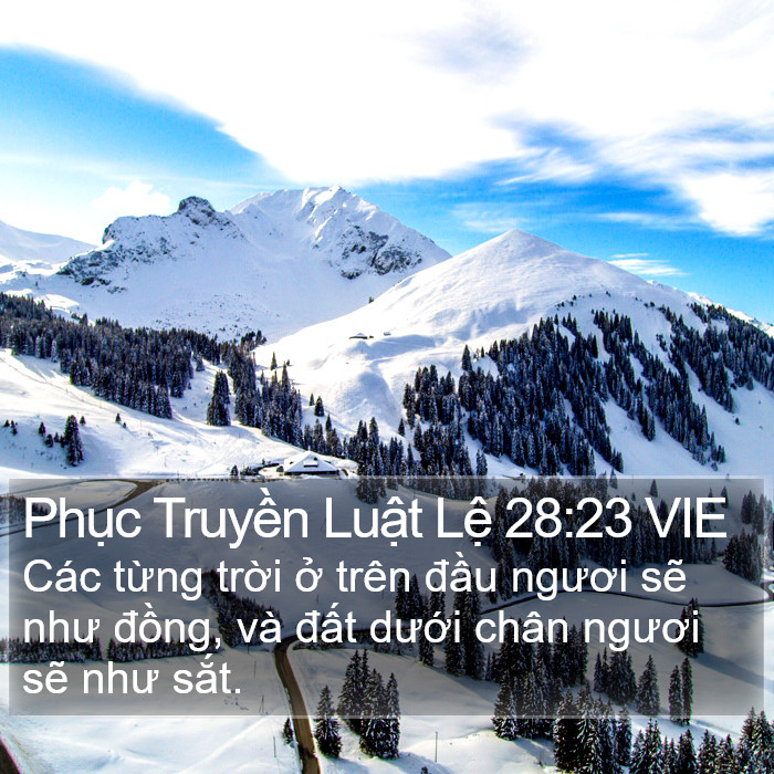 Phục Truyền Luật Lệ 28:23 VIE Bible Study