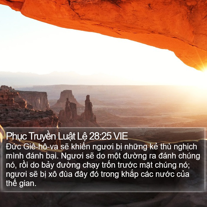 Phục Truyền Luật Lệ 28:25 VIE Bible Study