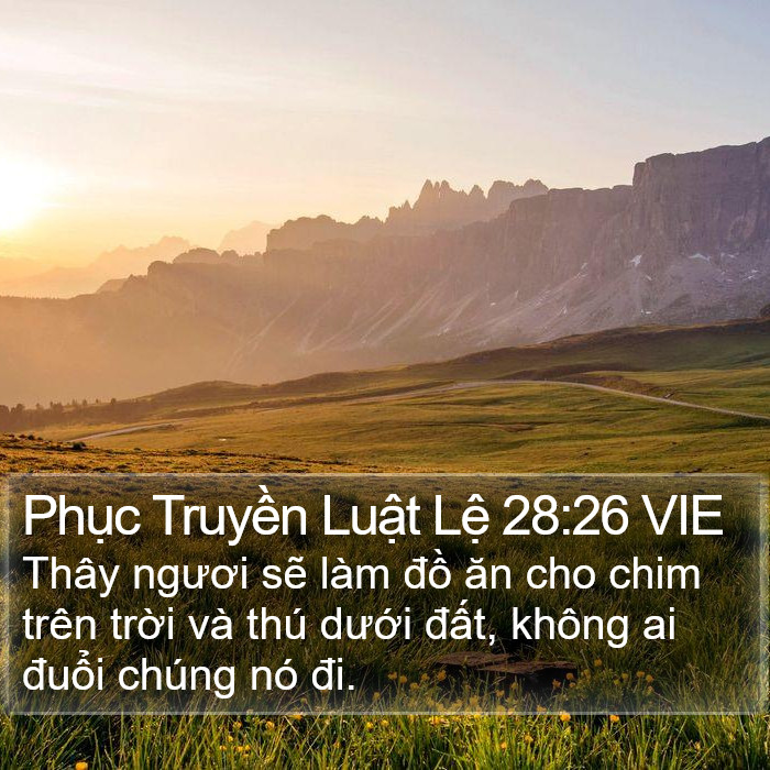 Phục Truyền Luật Lệ 28:26 VIE Bible Study