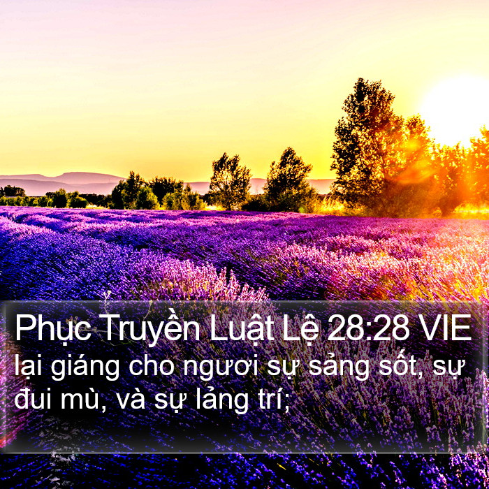 Phục Truyền Luật Lệ 28:28 VIE Bible Study