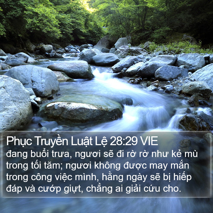 Phục Truyền Luật Lệ 28:29 VIE Bible Study