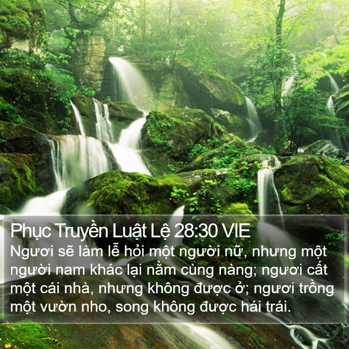 Phục Truyền Luật Lệ 28:30 VIE Bible Study