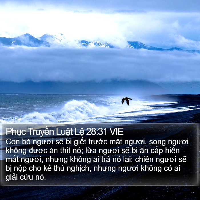 Phục Truyền Luật Lệ 28:31 VIE Bible Study