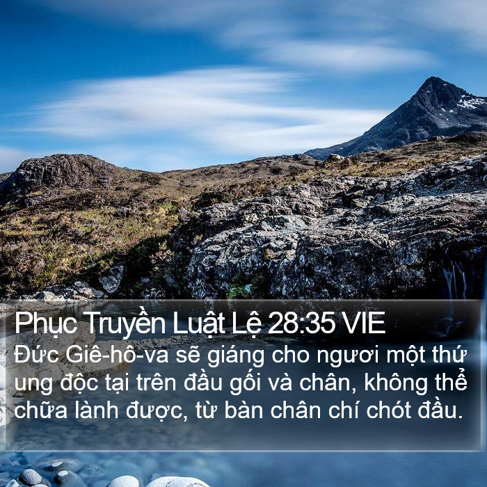 Phục Truyền Luật Lệ 28:35 VIE Bible Study