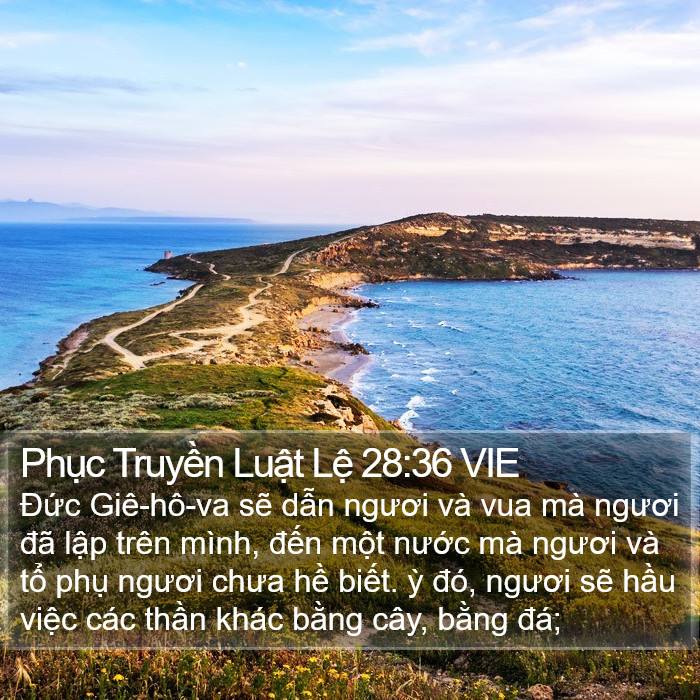 Phục Truyền Luật Lệ 28:36 VIE Bible Study