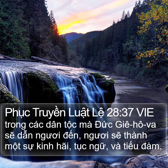 Phục Truyền Luật Lệ 28:37 VIE Bible Study