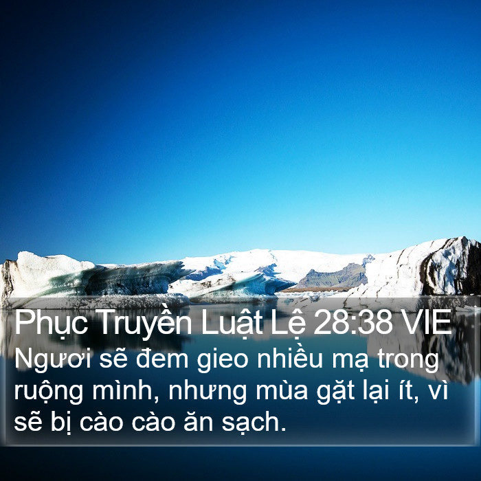 Phục Truyền Luật Lệ 28:38 VIE Bible Study