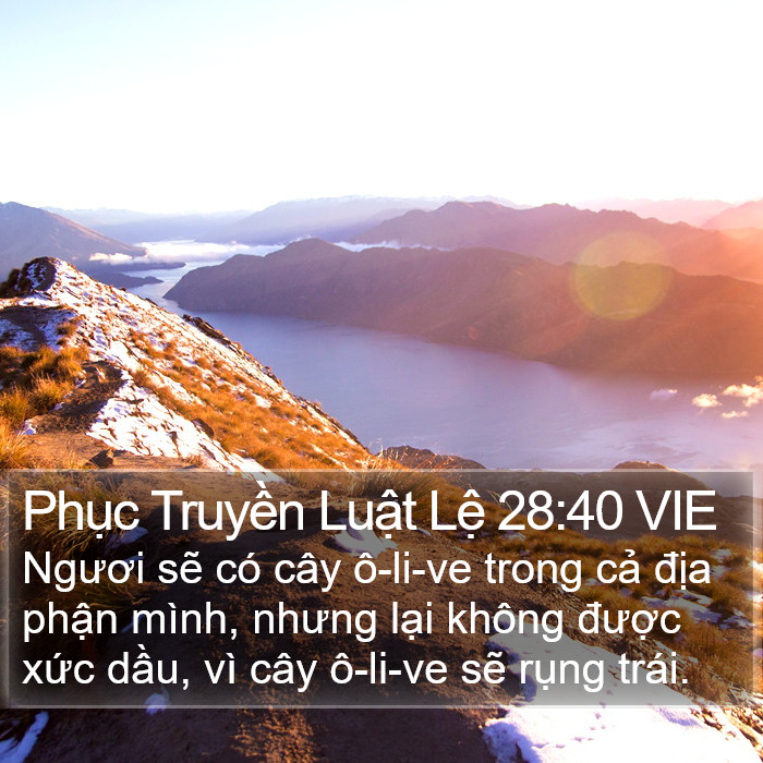 Phục Truyền Luật Lệ 28:40 VIE Bible Study