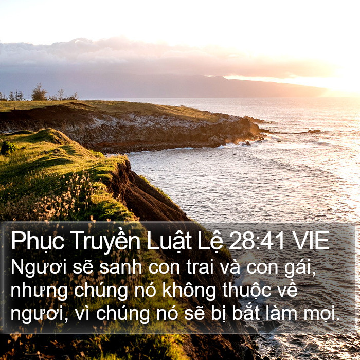 Phục Truyền Luật Lệ 28:41 VIE Bible Study