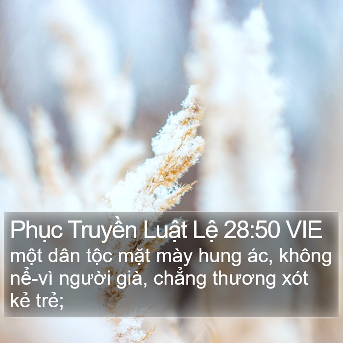 Phục Truyền Luật Lệ 28:50 VIE Bible Study