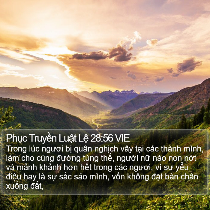 Phục Truyền Luật Lệ 28:56 VIE Bible Study