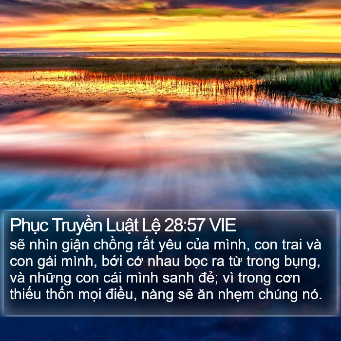 Phục Truyền Luật Lệ 28:57 VIE Bible Study