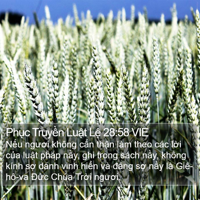 Phục Truyền Luật Lệ 28:58 VIE Bible Study