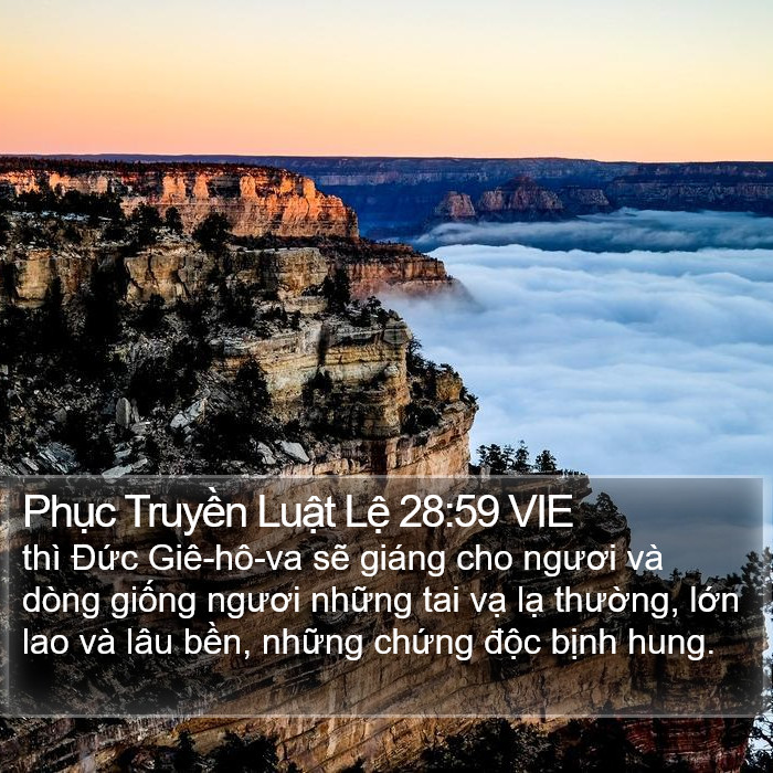 Phục Truyền Luật Lệ 28:59 VIE Bible Study