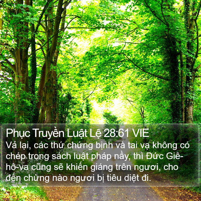 Phục Truyền Luật Lệ 28:61 VIE Bible Study