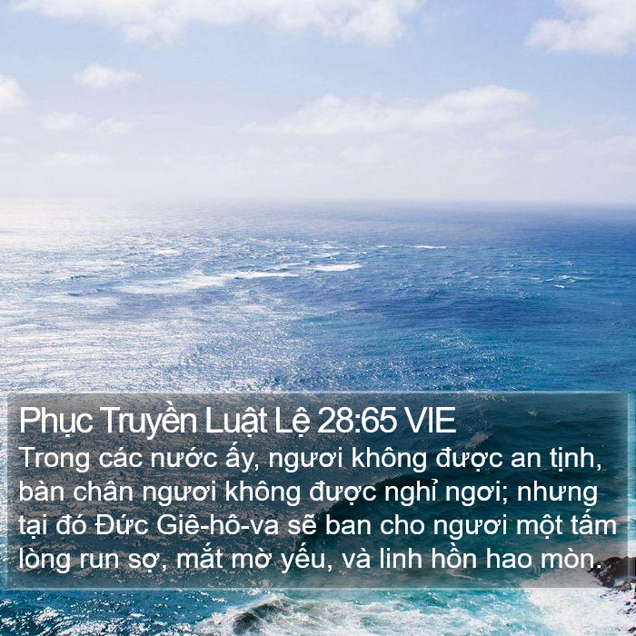 Phục Truyền Luật Lệ 28:65 VIE Bible Study