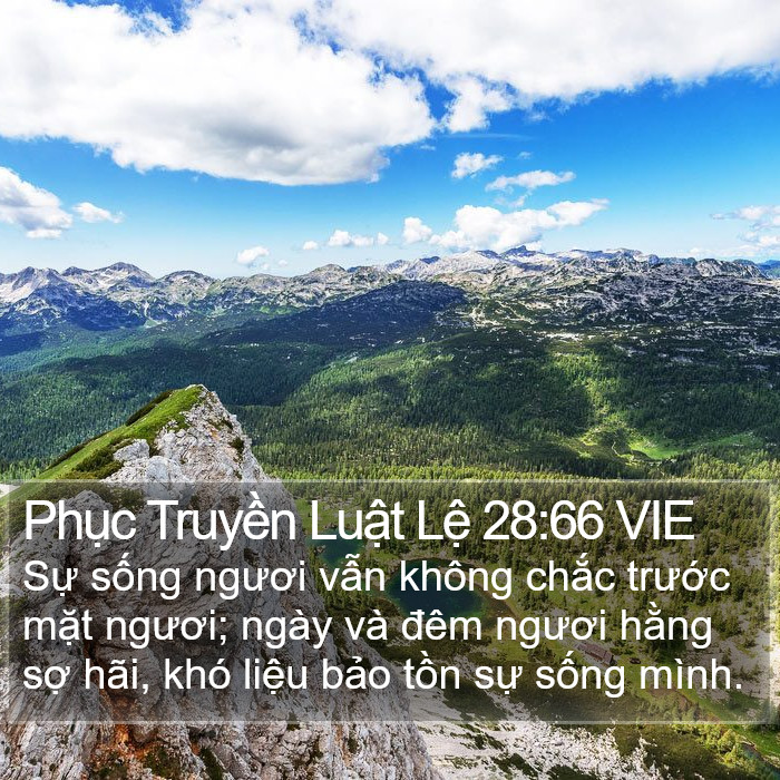 Phục Truyền Luật Lệ 28:66 VIE Bible Study