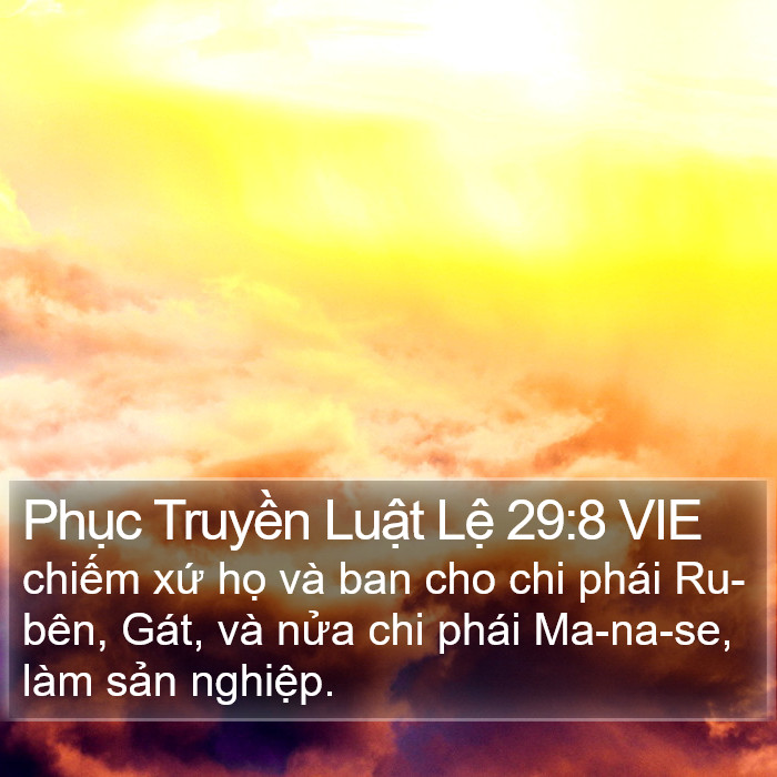 Phục Truyền Luật Lệ 29:8 VIE Bible Study