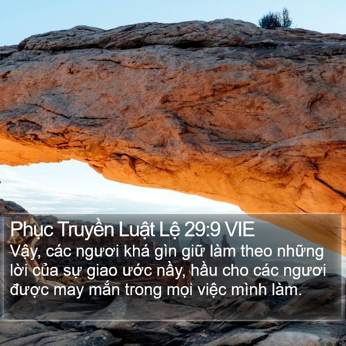 Phục Truyền Luật Lệ 29:9 VIE Bible Study